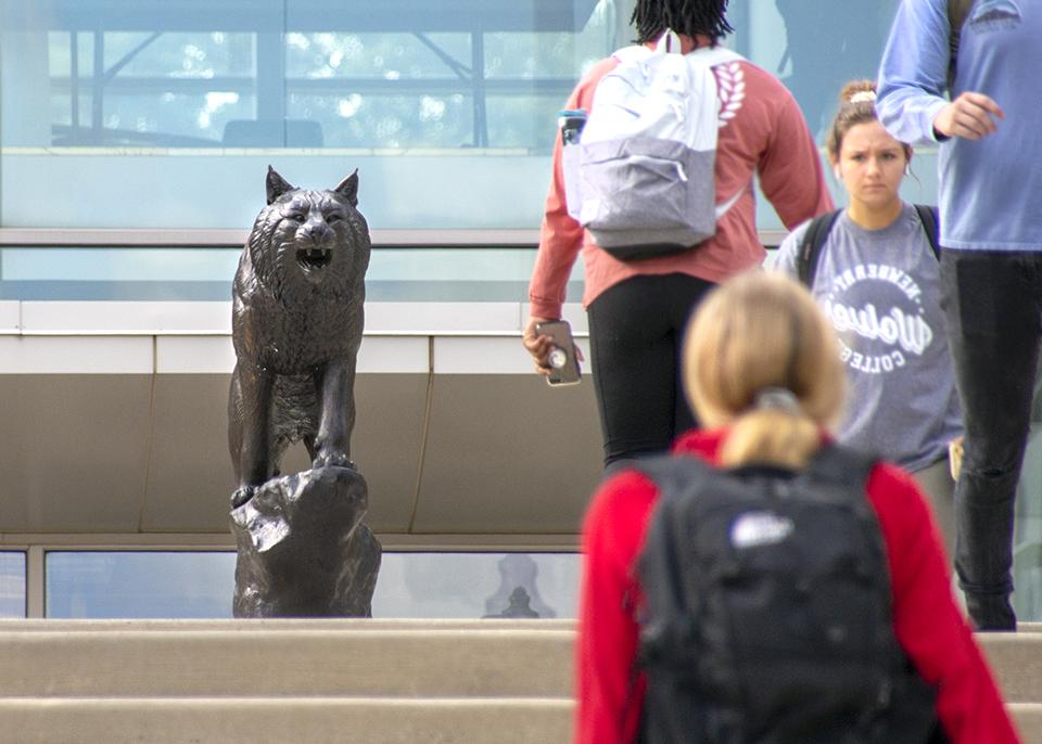 bobcat statue at top of steps